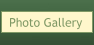 Photo Gallery
